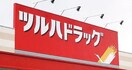 ツルハドラッグ 南6条店(ドラッグストア)まで550m Elza Garden