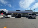 ローソン(コンビニ)まで800m ラディアンスⅠ