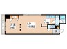 CITY SPIRE南３条 1LDKの間取り