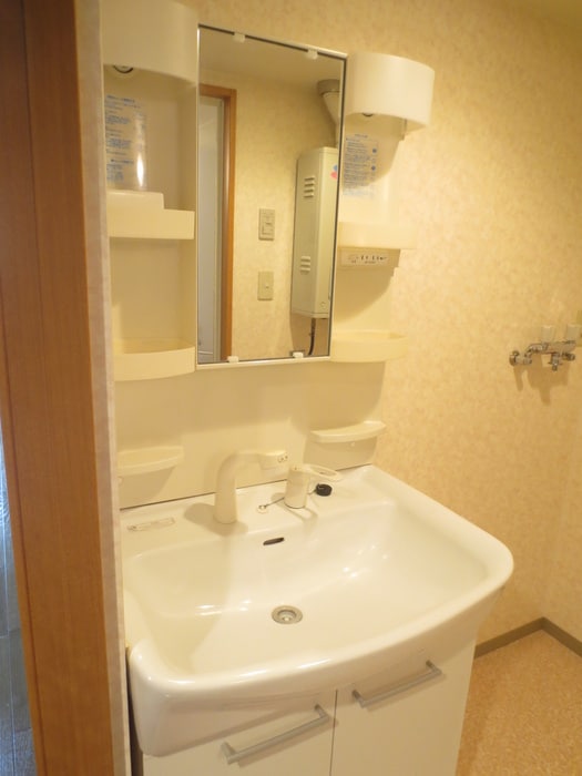 洗面 平岸エクセル金野