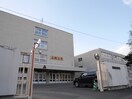 向陵中学校(中学校/中等教育学校)まで450m Blessing  ドムス宮の森