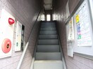その他 アコール812