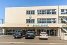 新琴似北小学校(小学校)まで1000m サンシティ新琴似