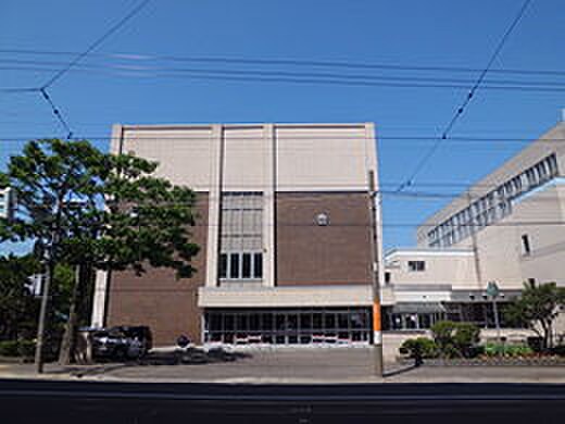 札幌市立中島中学校(中学校/中等教育学校)まで150m プレミエ－ル中島公園通