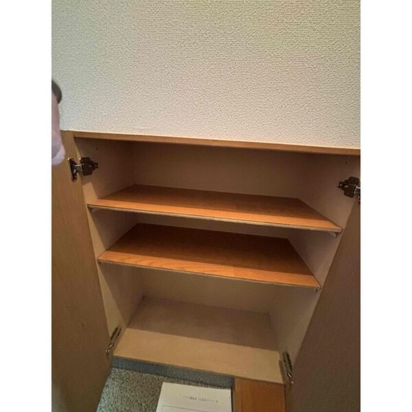 靴箱 ライムローズ