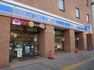 ローソン(ドラッグストア)まで220m UURｺｰﾄ札幌南三条ﾌﾟﾚﾐｱﾀﾜｰ