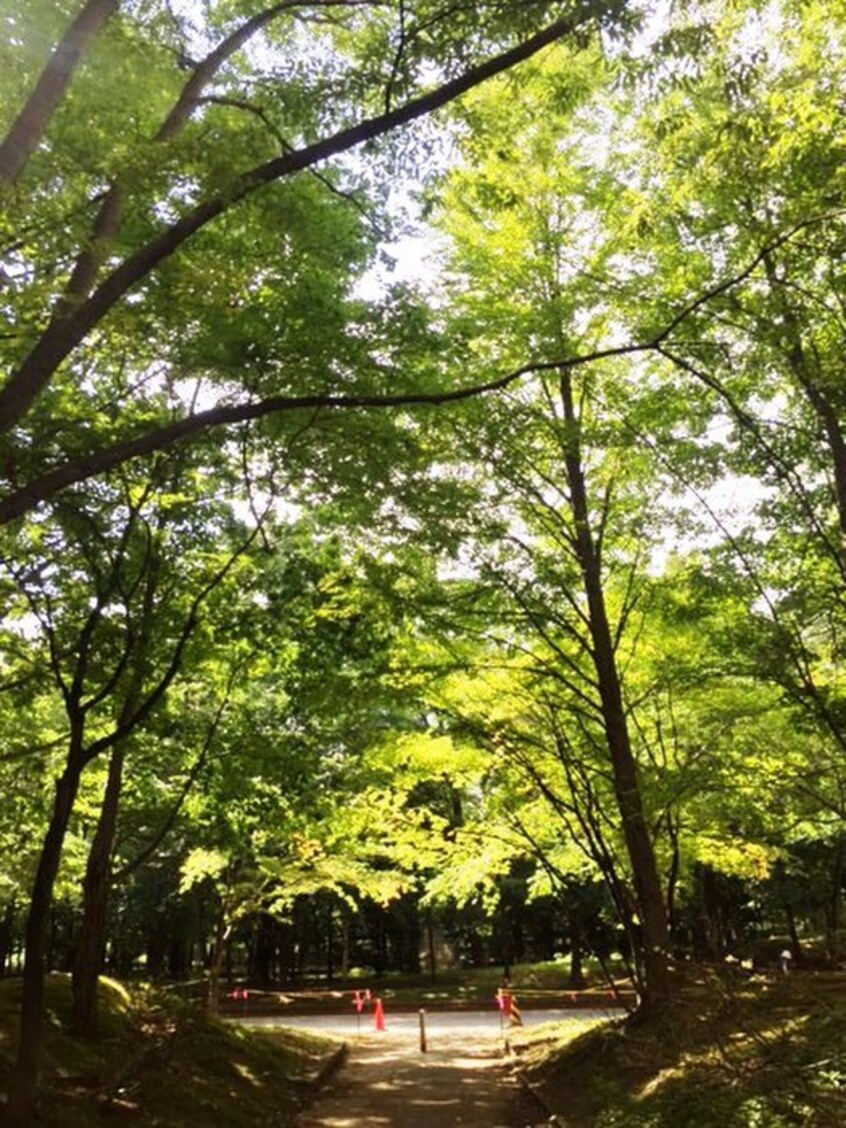 中島公園(公園)まで150m ヒルズパ－クサイド１１６