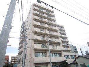 アリエル山鼻