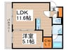 シンシア北8条 1LDKの間取り