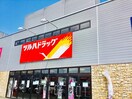 ツルハ(ドラッグストア)まで740m Grace Cort
