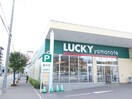 ラッキーマート(スーパー)まで856m Grace Cort