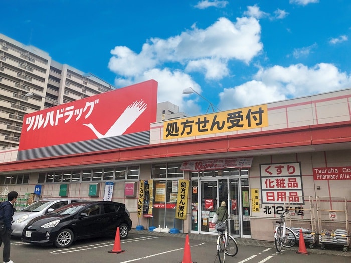 ツルハドラック(ドラッグストア)まで830m ブランシャールN15