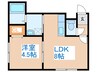 LACUS 1LDKの間取り