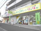 クリーニング屋(ディスカウントショップ)まで240m パナシェ宮の森