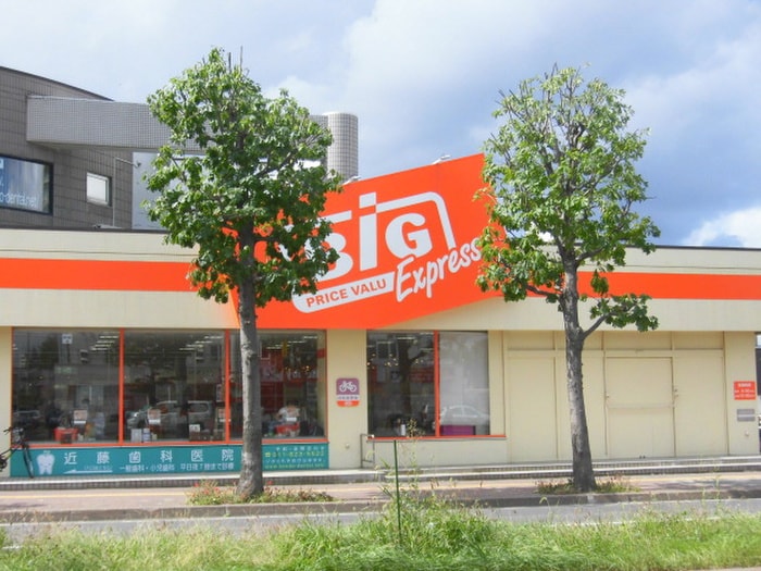 ザ・ビッグ・エクスプレス平岸店(スーパー)まで230m ドゥボワ平岸