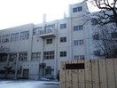 みどり小学校(小学校)まで950m リシェール美園