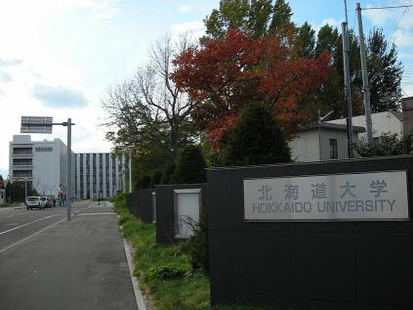 北海道大学(大学/短大/専門学校)まで450m シンエ－ビル