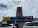 ゲオ(電気量販店/ホームセンター)まで530m ホーリーハウス