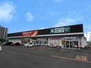 ツルハ(ドラッグストア)まで840m セレ－ナ南郷