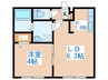 エヴァンスコート南１条 1LDKの間取り