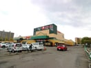 ダイイチ　八軒店(スーパー)まで400m Ｅａｓｔ Ｃｏｕｒｔ８９４
