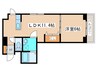 S‐FORT南郷通 1LDKの間取り