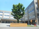 信濃小学校(小学校)まで550m プライムコ－ト