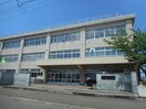厚別西小学校(小学校)まで1000m プライムコ－ト
