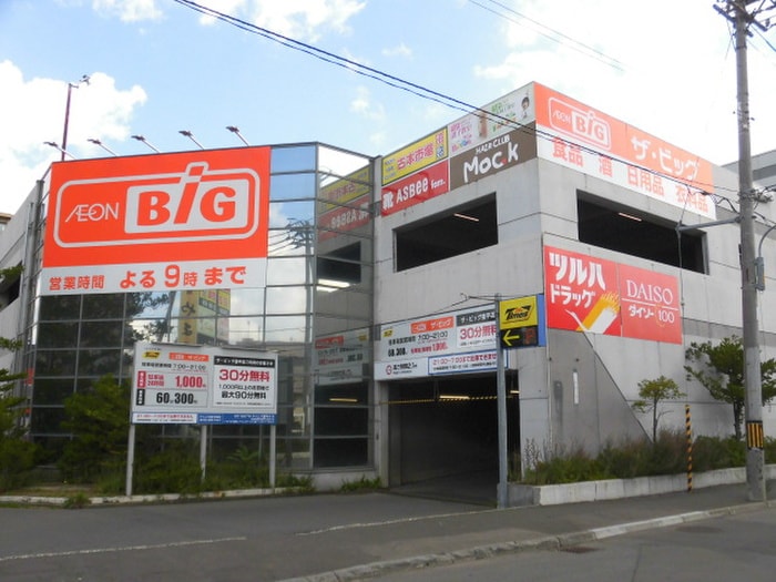 ザ・ビッグ豊平店(スーパー)まで190m The gate of Huga