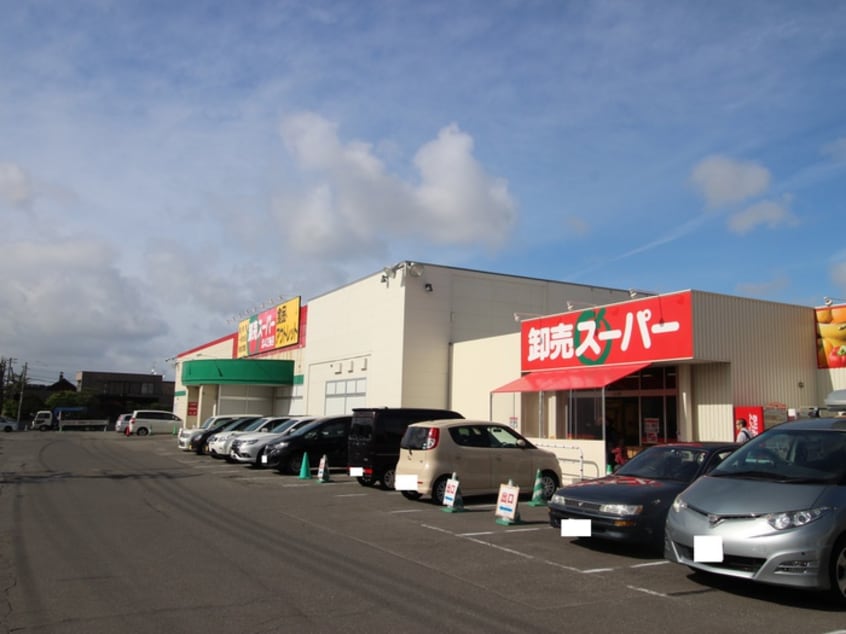 卸売スーパー(スーパー)まで384m モアノ－ス４０