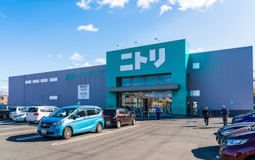 ニトリ(電気量販店/ホームセンター)まで900m solaie N36