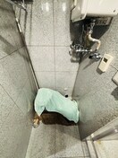 洗濯機置場 ステージ大通