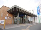 北洋銀行 宮の森支店(銀行)まで900m ユニティー北円山