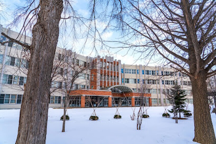 北海道札幌北高等学校(高等学校/高等専門学校)まで1300m グランメールRA・N23