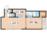 グランスター２４ 1LDKの間取り