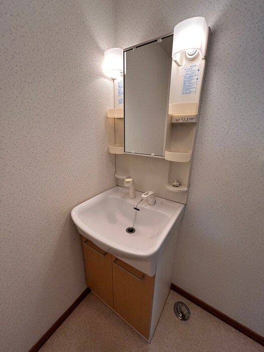 洗面 タケエイハイムⅢ