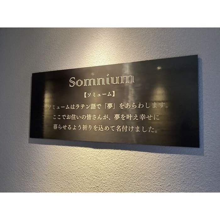 その他 ソミューム発寒南