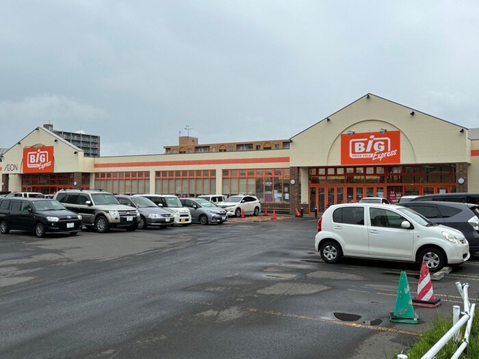 ザ・ビッグ(スーパー)まで650m パンラヴィ－ヌ４１