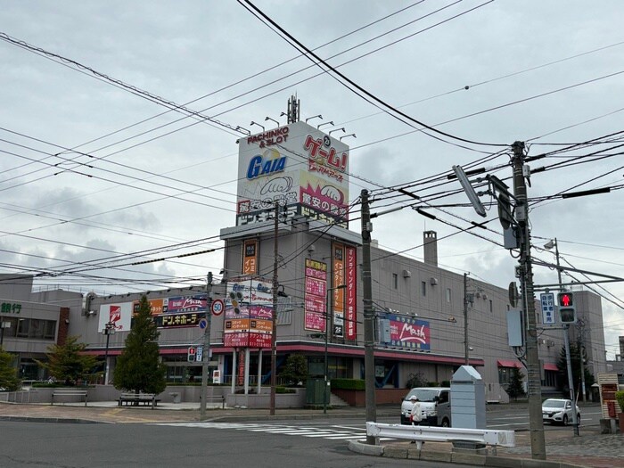 ドン・キホーテ(電気量販店/ホームセンター)まで210m シャトーN43