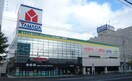 ヤマダ電機(電気量販店/ホームセンター)まで850m サンコ－ト大通