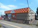 はなまるうどん(その他飲食（ファミレスなど）)まで810m ドミトリーSK