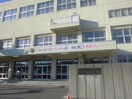 札幌市立北陽小学校、〒001-0031 北海道札幌市北区北３(小学校)まで1100m ＨＯＰ３４