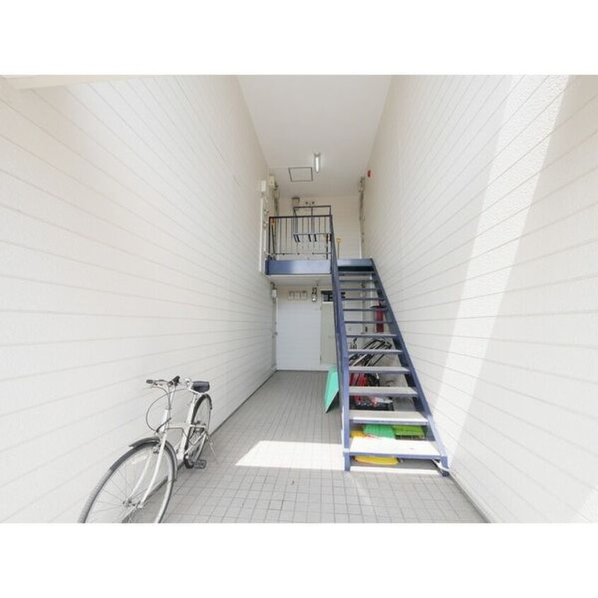 その他 ＭＳクレマチス