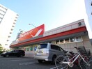 ツルハ(ドラッグストア)まで200m プレシャス月寒中央