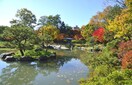 中島公園(公園)まで1330m ラヴィアンコート