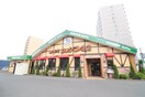 コメダ珈琲店(カフェ)まで772m ガ－ネットハイツ菊水