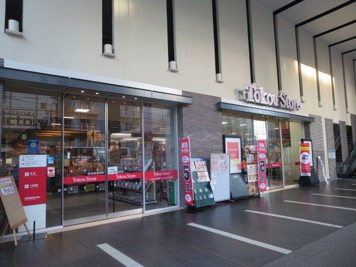 東光ストア サッポロファクトリー店(スーパー)まで500m TSUBAKI　SQUARE　大通公園東