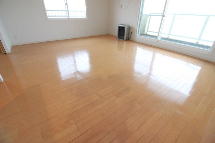 居室 ビッグパレス南１２条