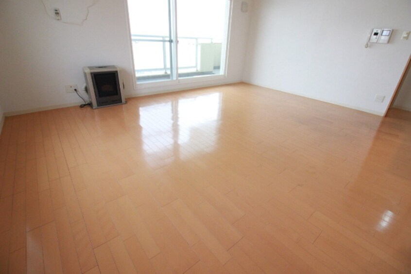 居室 ビッグパレス南１２条