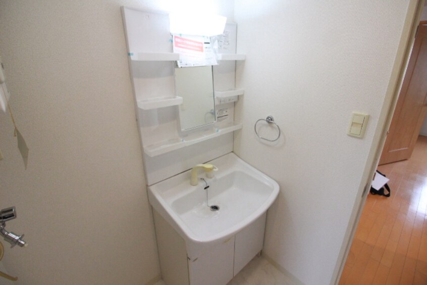 洗面 ビッグパレス南１２条